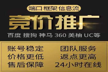 抖音信息流代理在电商行业的应用案例分析